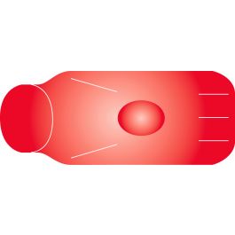 SecurSeal IV Seal, Series 10, Red