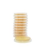 Sabdex Agar, CPL, 10/Pk